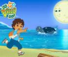 Diego plaj ve su bir deniz kaplumbağası